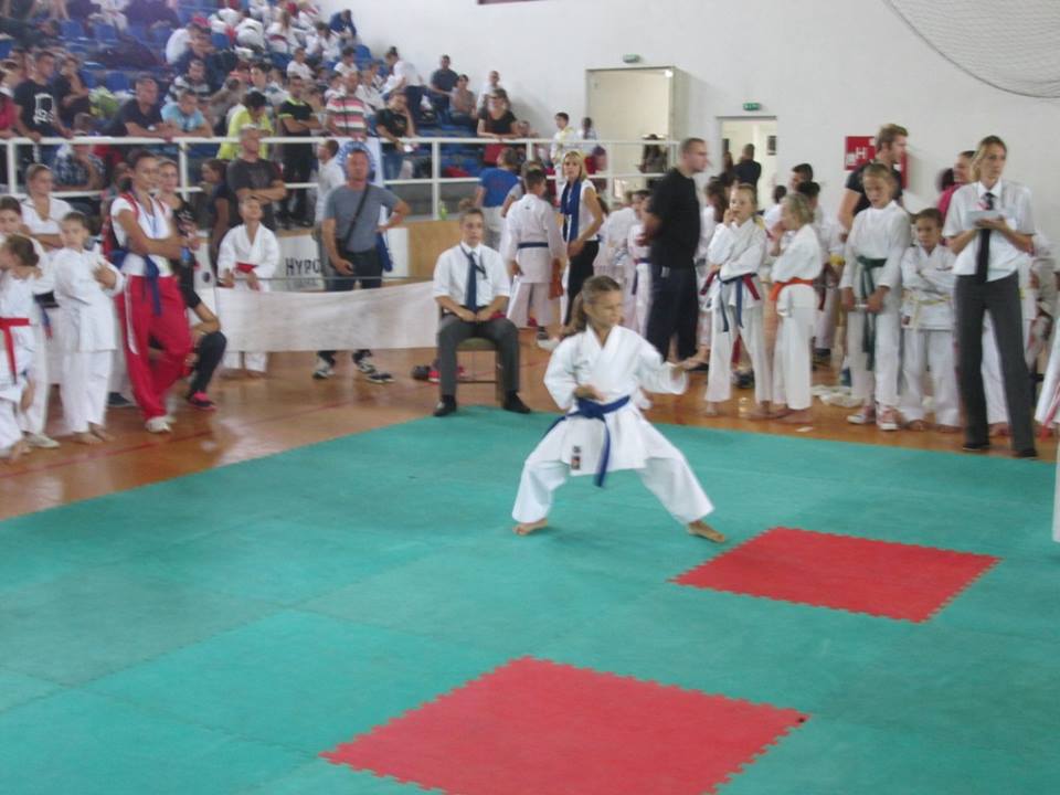 karatelukavac4