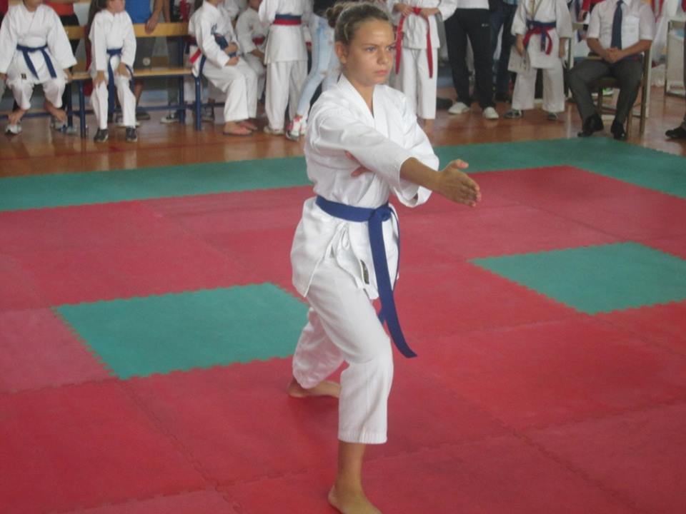 karatelukavac5