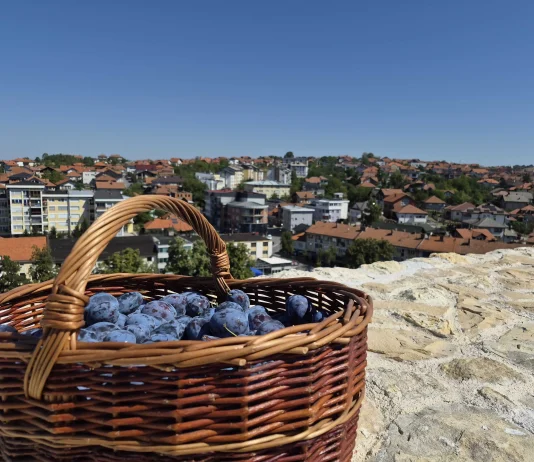 U Gradačcu otvoren 53. Sajam šljive