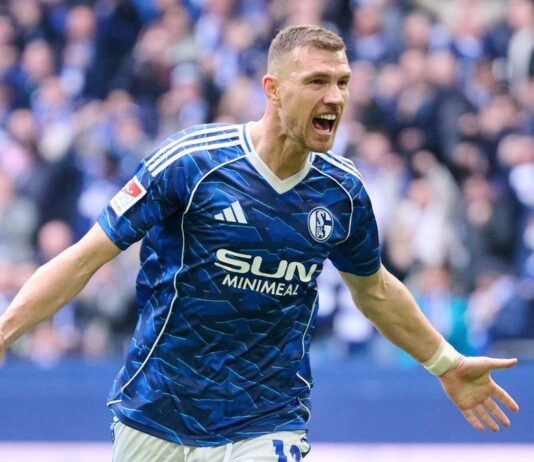 Dogovor postignut: Edin Džeko ostaje u Schalkeu