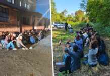 Granična policija BiH oglasila se o 96 migranata u Gradišci