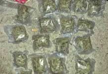 Pretresi u Gračanici zbog sumnje na neovlaštenu proizvodnju i promet opojnih droga