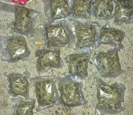 Pretresi u Gračanici zbog sumnje na neovlaštenu proizvodnju i promet opojnih droga