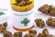 BiH pokreće regulaciju medicinskog kanabisa i terapije za pacijente