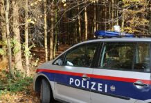 Radnika iz BiH u Austriji usmrtila kabina kamiona: Vlasnik i mehaničar pred sudom