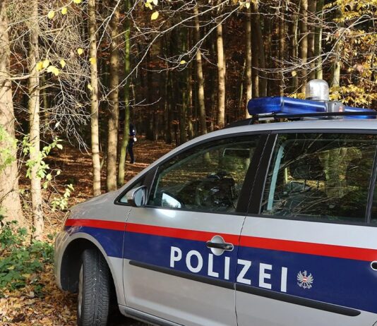 Radnika iz BiH u Austriji usmrtila kabina kamiona: Vlasnik i mehaničar pred sudom