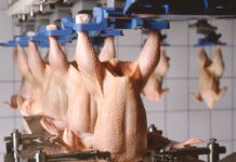 Ukida se zabrana izvoza pilećeg mesa iz BiH na tržište Europske unije