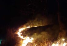 Zbog velikih vrućina povećan broj požara u TK