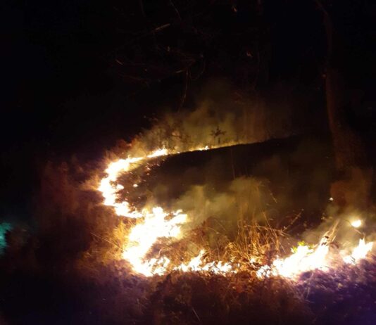 Zbog velikih vrućina povećan broj požara u TK