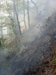 Servisne informacije: Vatrogasci gasili dva požara
