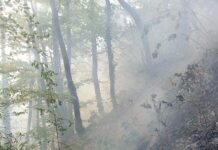 Servisne informacije: Vatrogasci gasili dva požara