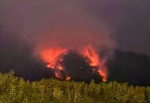 Predsjedništvo BiH odobrilo zahtjev za angažman helikoptera zbog požara na Plješevici, ali odluka zavisi od OS BiH