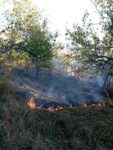 Servisne informacije: U Rapatnici gorjelo oko 10 dunuma voćnjaka