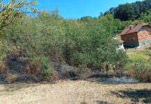 Servisne informacije: Vatrogasci gasili požar niskog rastinja, pomogli i mještani