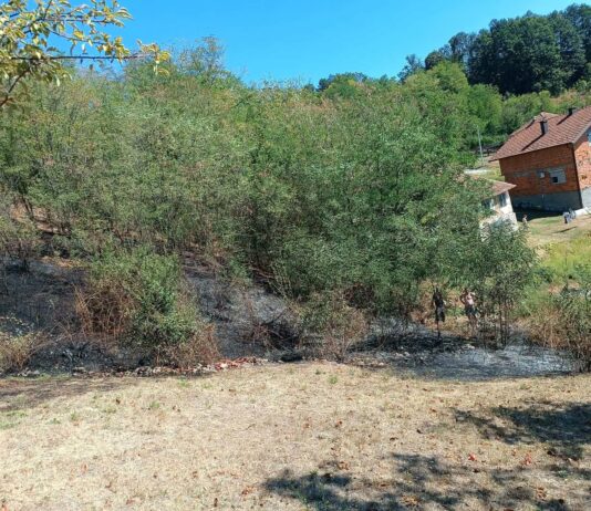 Servisne informacije: Vatrogasci gasili požar niskog rastinja, pomogli i mještani