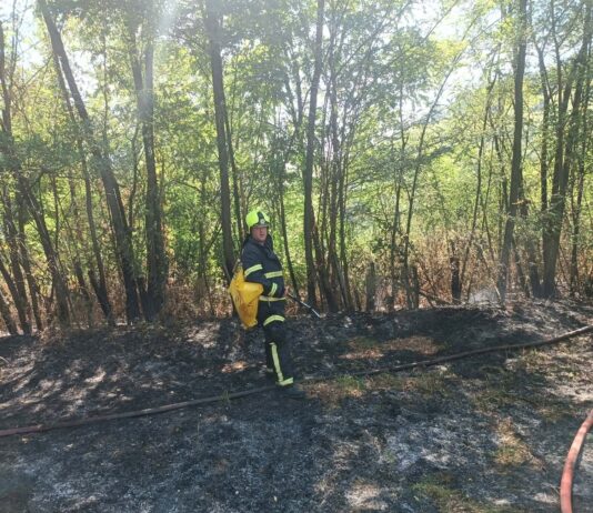 Vatrogasci gasili požar u Donjim Moranjcima: Apel da ne palite vatru na otvorenom prostoru